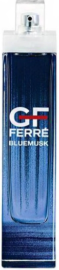 GianFranco Ferre Bluemusk