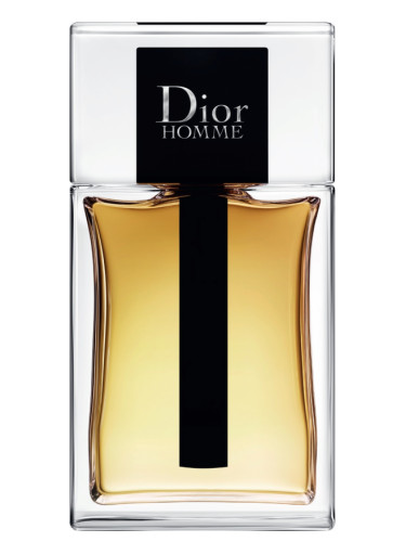 Christian Dior Homme 2020