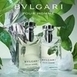 Bvlgari Pour Homme Eau De Parfum