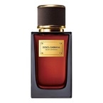 D&G Velvet Zafferano