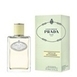 Prada Infusion de Gingembre