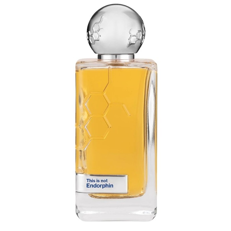 Hormone Paris This Is Not Endorphin