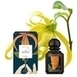 L`Artisan Parfumeur Obscuratio 25