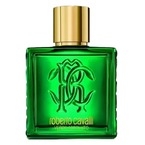 Roberto Cavalli Uomo Verde Assoluto
