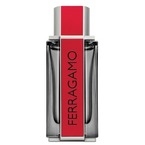 Salvatore Ferragamo Ferragamo Red Leather