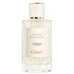 Chloe Atelier Des Fleurs Jasminum Sambac
