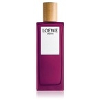 Loewe Earth