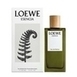 Loewe Solo Elixir