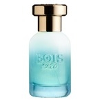 Bois 1920 Marasma